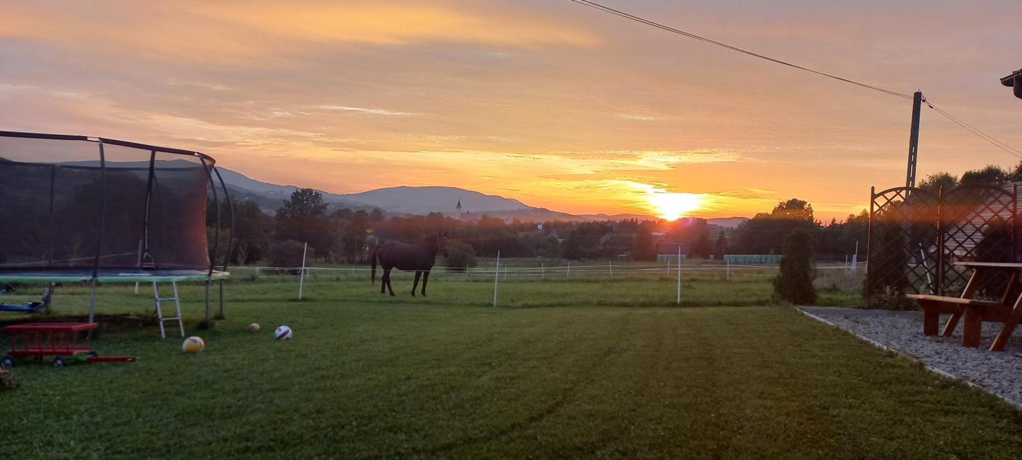 Komfortowe Domki Z Kominkiem Limanowa - Nowy Sacz Exterior foto