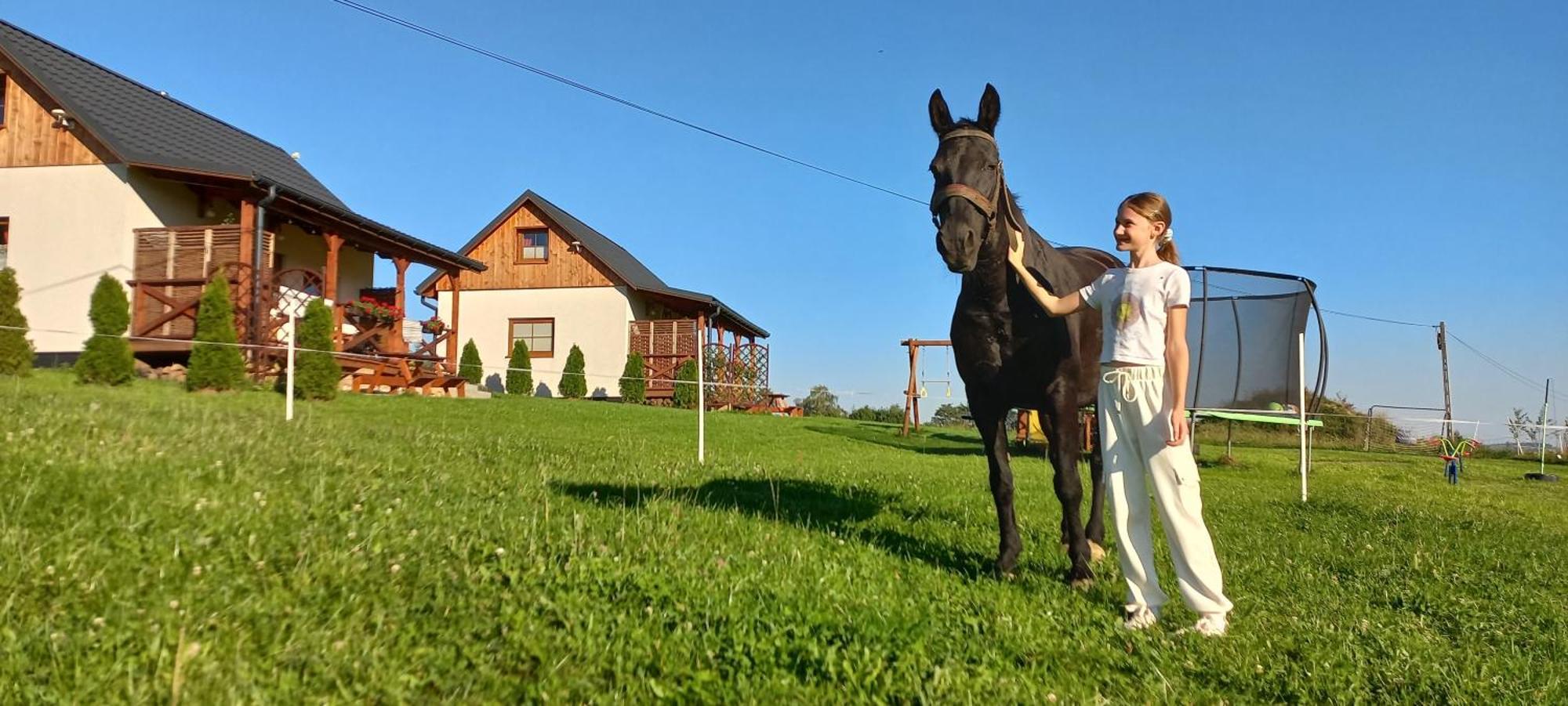 Komfortowe Domki Z Kominkiem Limanowa - Nowy Sacz Exterior foto